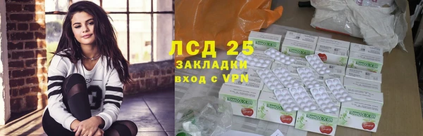 шишки Белокуриха