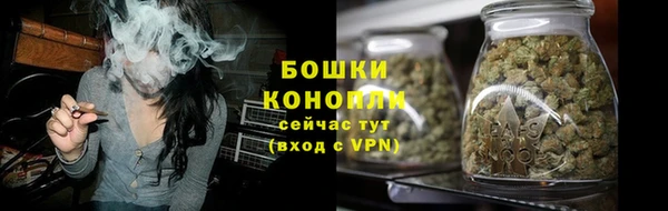 apvp Богородск