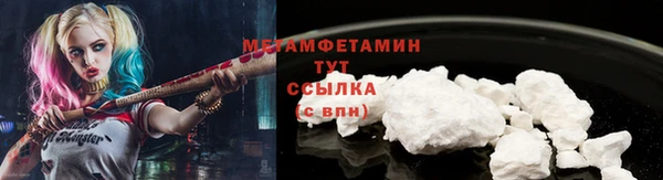 прущие грибы Богданович