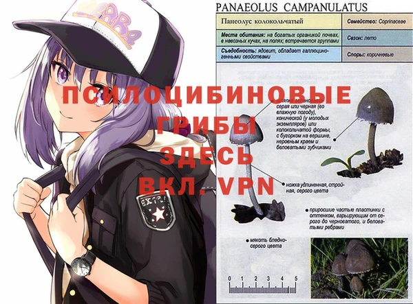 соль курить ск Богородицк
