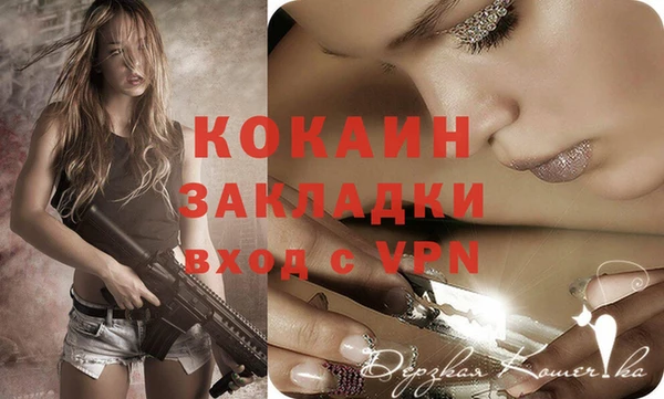шишки Белокуриха