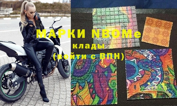 шишки Белокуриха