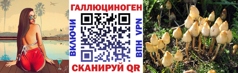 omg tor  Маркс  Галлюциногенные грибы GOLDEN TEACHER 